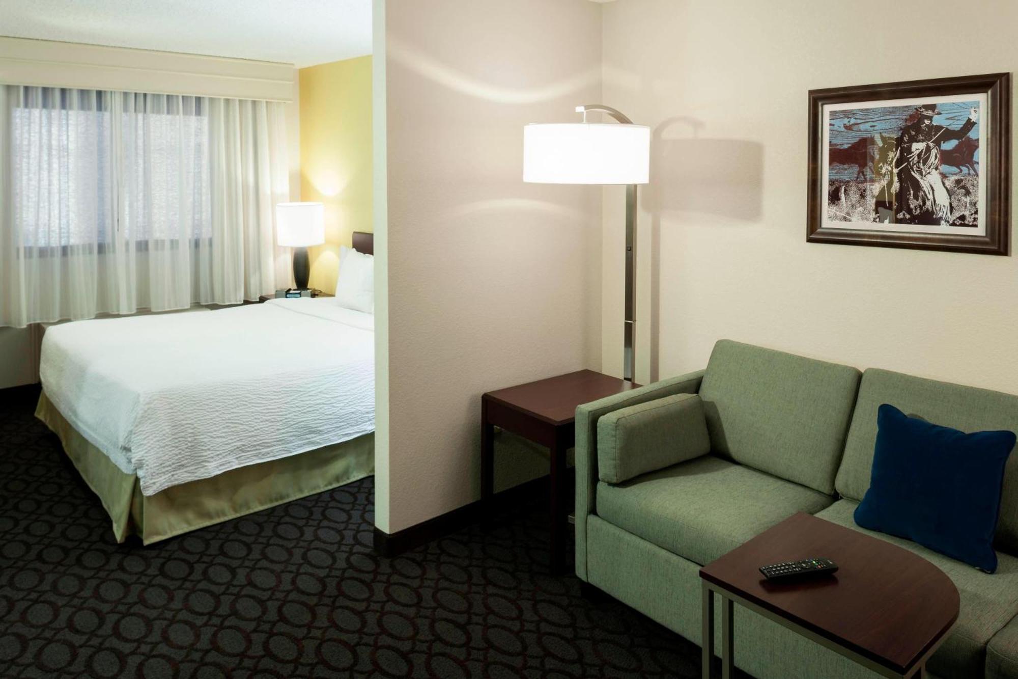 Springhill Suites By Marriott Dallas Downtown / West End Exterior photo